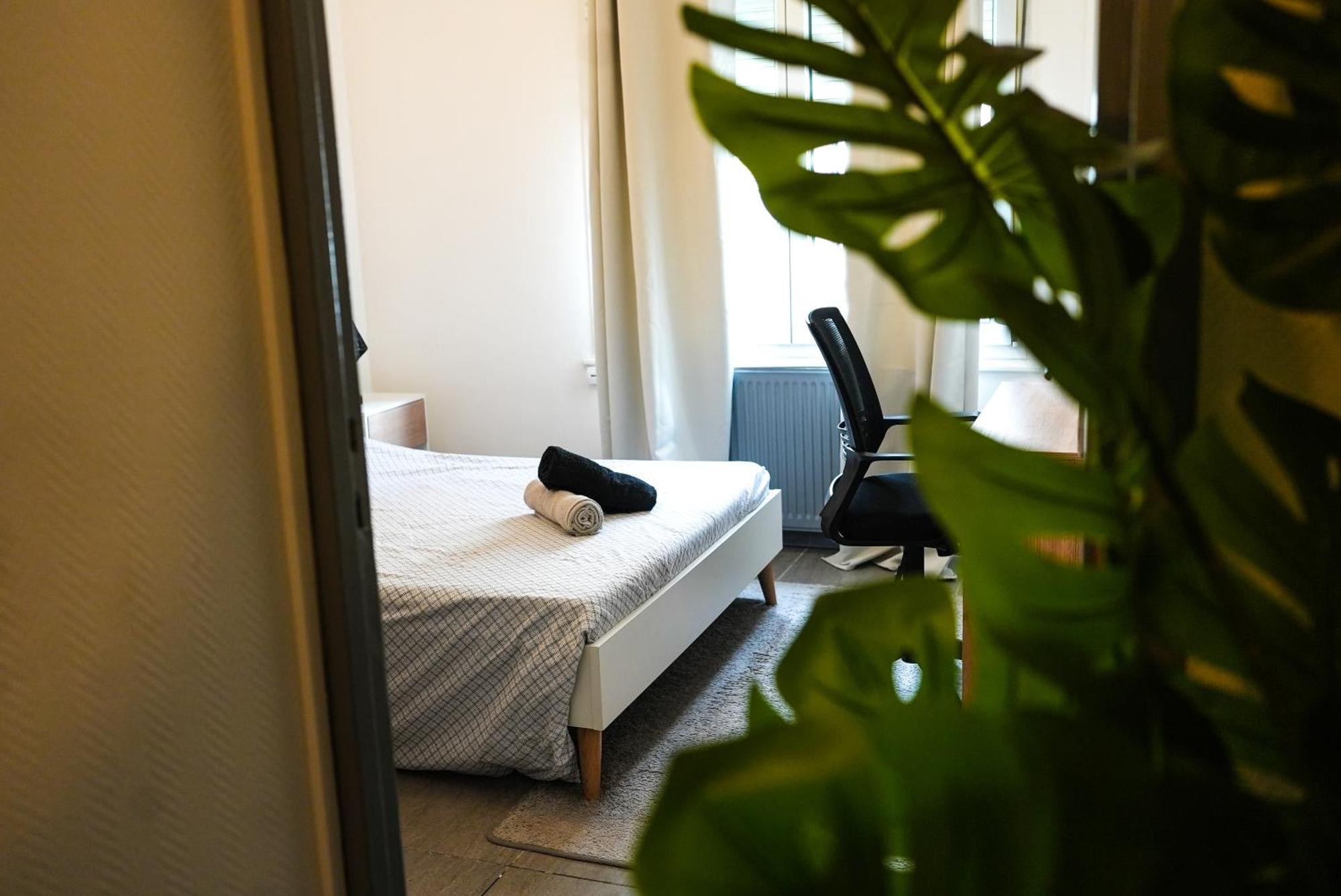 Appartement Temis Et Centre Ville Avec Parking-Wifi Безансон Екстер'єр фото